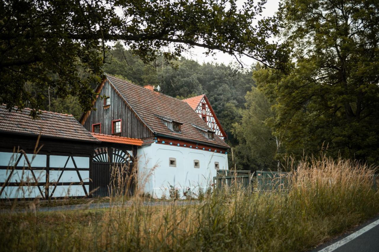 Ferienwohnung Mlyn Salajna Dolni Zandov Exterior foto